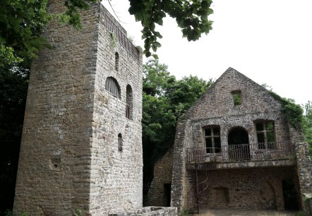 die ruine der pruemerburg oberhalb von pruemzurlay